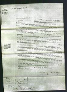 Court of Common Pleas - Sarah Poulton-Original Ancestry