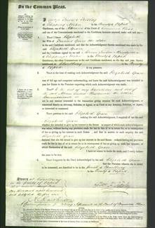 Court of Common Pleas - Elizabeth Grace-Original Ancestry