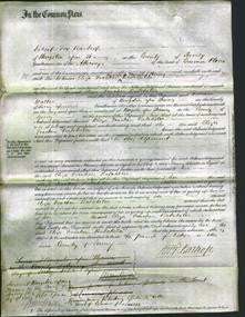 Court of Common Pleas - Eliza Feacher Batchelor-Original Ancestry