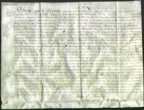 Deed by Married Women - Sarah White, Philadelphia Page and Harriott Adams-Original Ancestry