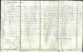 Court of Common Pleas - Mary Fowler-Original Ancestry