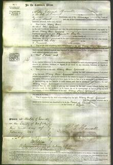 Court of Common Pleas - Mary Ann Garrood-Original Ancestry