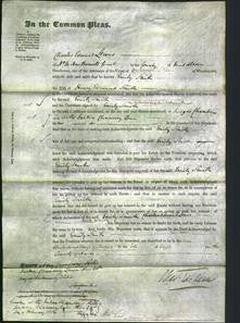 Court of Common Pleas - Emily Smith-Original Ancestry