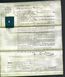 Court of Common Pleas - Ann Mouzan May-Original Ancestry