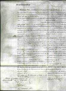 Court of Common Pleas - Sarah Simpson-Original Ancestry