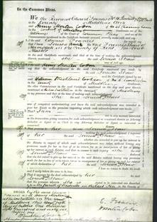 Court of Common Pleas document - Louisa Ann Shaw-Original Ancestry