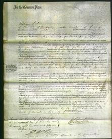 Court of Common Pleas - Ann Lefeaux-Original Ancestry