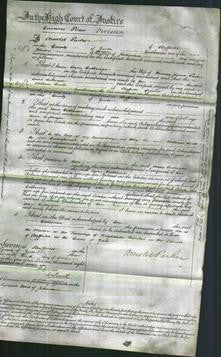 Court of Common Pleas - Anne Catherine Parker-Original Ancestry