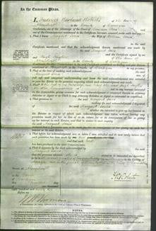 Court of Common Pleas - Margaret Jones-Original Ancestry