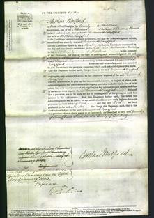 Court of Common Pleas - Susannah Langford-Original Ancestry