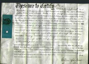 Court of Common Pleas - Maria Williamson-Original Ancestry