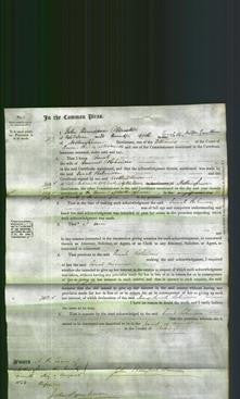 Court of Common Pleas - Sarah Robinson