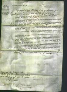 Court of Common Pleas - Eliza Humphreys-Original Ancestry