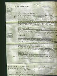 Court of Common Pleas - Sarah Booth Johnson-Original Ancestry