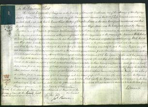 Court of Common Pleas - Eliza Moore-Original Ancestry