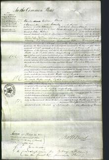 Court of Common Pleas - Ruth Chick and Lydia Robins-Original Ancestry