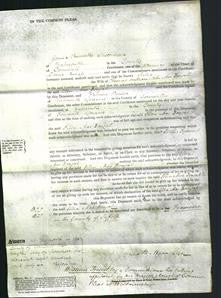 Court of Common Pleas - Ellen Mac Dougal-Original Ancestry