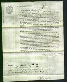 Court of Common Pleas - Emily Hammersley-Original Ancestry