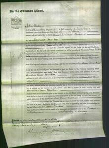 Court of Common Pleas - Amelia Ann Martin