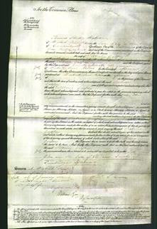 Court of Common Pleas - Rebecca Gadfrey-Original Ancestry