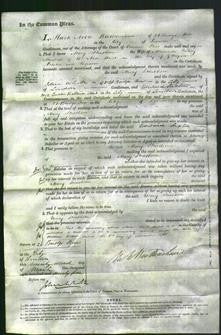 Court of Common Pleas - Mary Strathen-Original Ancestry