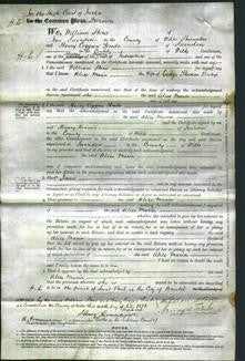 Court of Common Pleas - Alice Maria Bishop-Original Ancestry