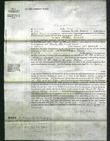 Court of Common Pleas - Sarah Iredale-Original Ancestry