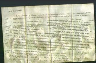 Court of Common Pleas - Mary Foulkes, Martha Boden and Martha Barrington-Original Ancestry