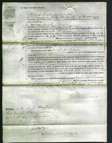 Court of Common Pleas - Sarah McQueen-Original Ancestry