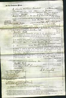 Court of Common Pleas - Martha Beale-Original Ancestry