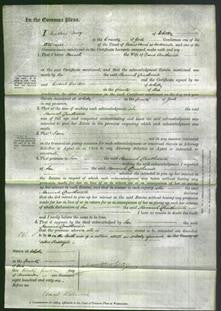 Court of Common Pleas - Hannah Douthwaite-Original Ancestry