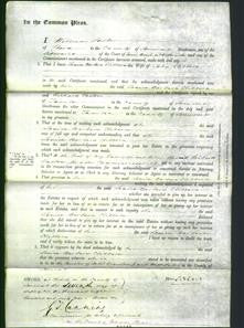 Court of Common Pleas - Louisa Barbara Clibborn-Original Ancestry