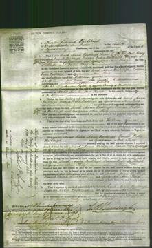 Court of Common Pleas - Sarah Maria Rushleigh, Frances Portia Rushleigh and Georgiana Ann King-Original Ancestry