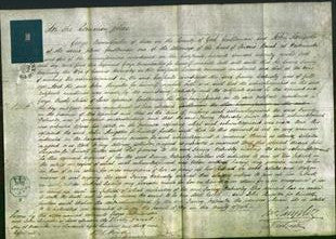 Court of Common Pleas - Fanny Walmsley-Original Ancestry