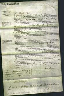Court of Common Pleas - Elizabeth Ann Parry-Original Ancestry