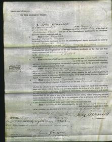 Court of Common Pleas - Elizabeth Baxter-Original Ancestry