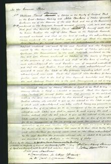 Court of Common Pleas - Caroline Weaver-Original Ancestry