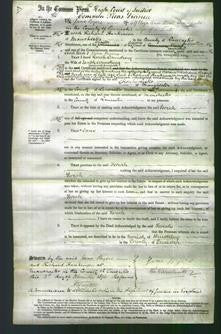 Court of Common Pleas - Sarah Armstrong-Original Ancestry