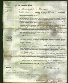 Court of Common Pleas - Ann Dallowell-Original Ancestry