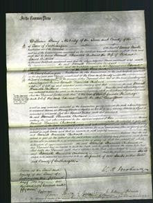 Court of Common Pleas - Harriett Henrietta Andrews-Original Ancestry