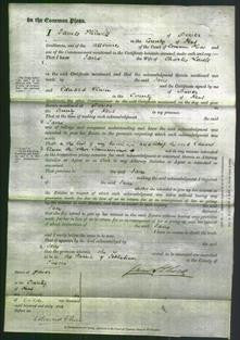 Court of Common Pleas - Jane Lovell-Original Ancestry