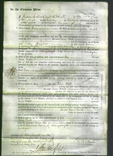 Court of Common Pleas - Jane Hall-Original Ancestry
