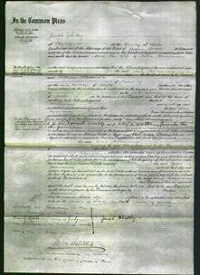 Court of Common Pleas - Ann Horniman-Original Ancestry