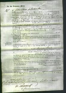 Court of Common Pleas - Maria Poole-Original Ancestry