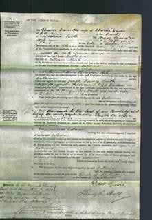 Court of Common Pleas - Catherine Mead-Original Ancestry