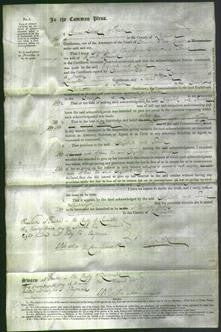 Court of Common Pleas - Elizabeth Bailey and Tamar Ramwell-Original Ancestry