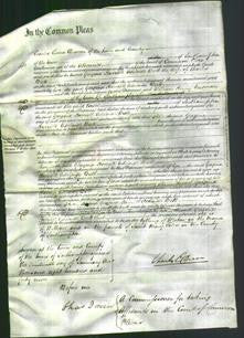 Court of Common Pleas - Georgina Harriett Adelaide Brett-Original Ancestry