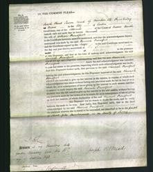 Court of Common Pleas - Hannah Proudfoot-Original Ancestry