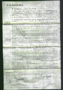 Court of Common Pleas - Anne Elizabeth Parker-Original Ancestry