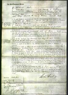 Court of Common Pleas - Ann Ashkell and Mary Elizabeth Hards-Original Ancestry